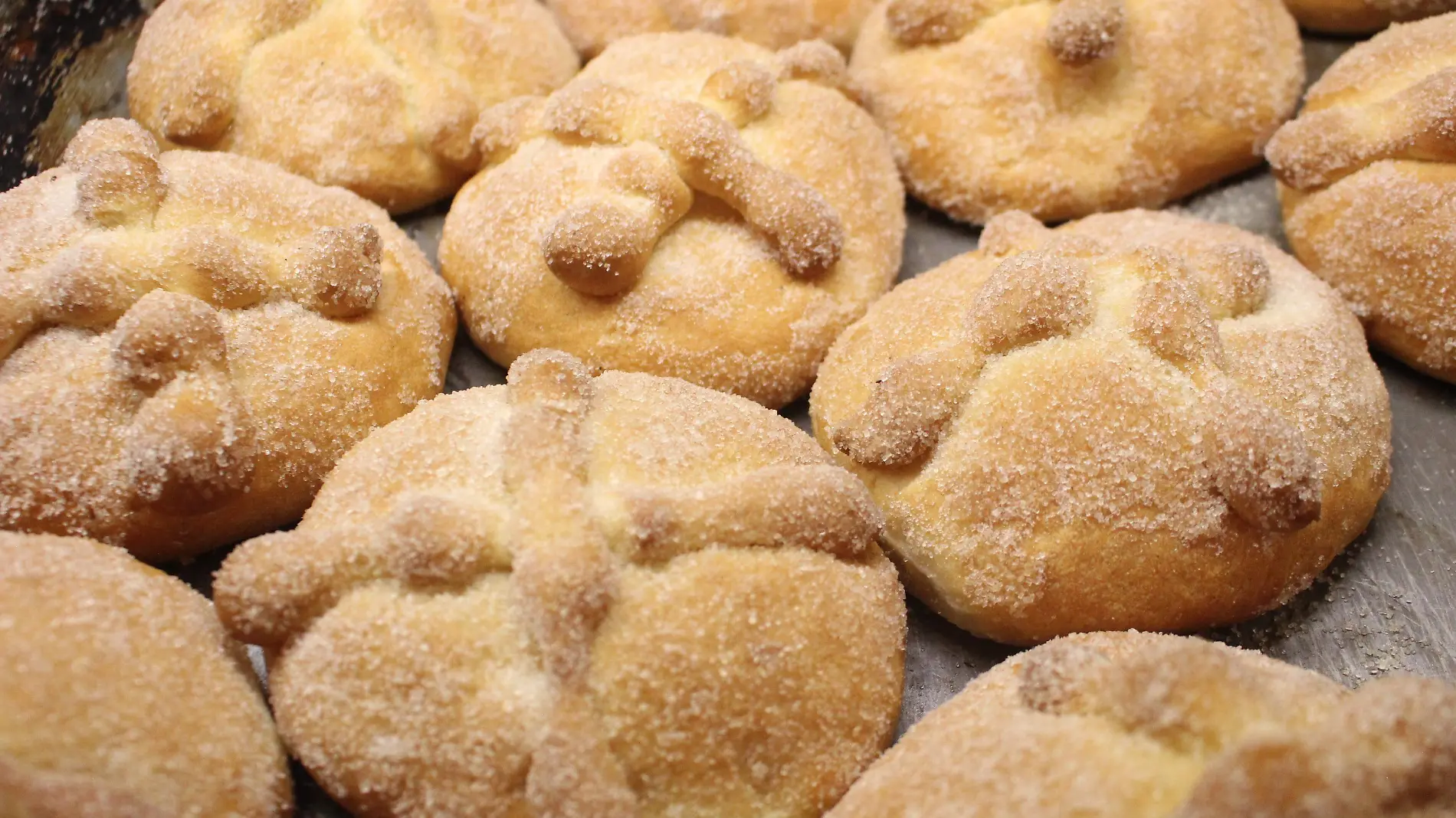 PAN DE MUERTO 08